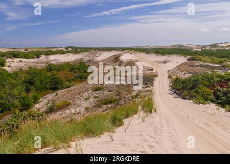 Dunes de Provincetown dans le National Seashore Park, Cape Cod, Massachusetts, États-Unis Banque D'Images