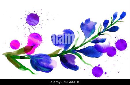Fleurs sauvages violettes. Peinture à l'aquarelle dessinée à la main Banque D'Images