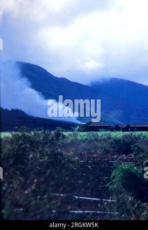 Lahaina, Hawaï, États-Unis. 9 août 2023. Vinatage Lahaina et West Maui, Hawaï en 1984. (Image de crédit : © Kenneth Martin/ZUMA Press Wire) USAGE ÉDITORIAL SEULEMENT! Non destiné à UN USAGE commercial ! Banque D'Images