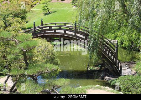 Moon Bridge, jardin japonais, Huntington Gardens, San Marino, Californie Banque D'Images