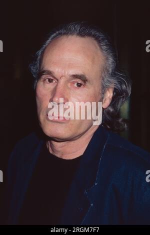 **FICHIER PHOTO** Brice Marden est décédé. Brice Marden assiste à l'exposition 'New Sculpture' de Robert Graham à la Gagosian Gallery de New York le 12 mars 1996. Crédit photo : Henry McGee/MediaPunch Banque D'Images