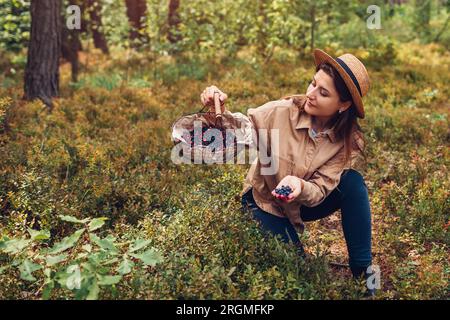 Femme cueillant des myrtilles et des myrtilles dans la forêt d'automne les mettant dans le panier. Récolte de fruits sauvages d'été Banque D'Images