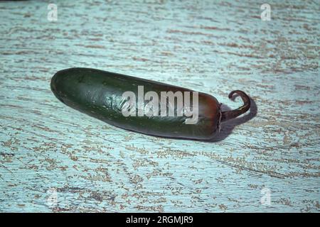 piments jalapeno sur fond blanc. Piment vert. Capsicum annuum. Gros plan. Banque D'Images