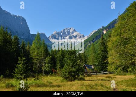 Vue de Bavski grintavec montagne dans la vallée de Zadnja Trenta dans les alpes juliennes et le parc national de Triglav, Slovénie avec une prairie et une cabane en bois devant o Banque D'Images