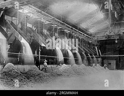 Livrer Bagasse à la caserne. Moulin à sucre brut Îles Hawaii ca. années 1910 Banque D'Images