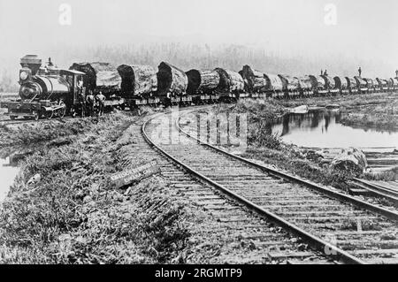 Rondins de bois rouge sur le train sur le chemin de la forêt à l'usine ca. 1909-1932 Banque D'Images