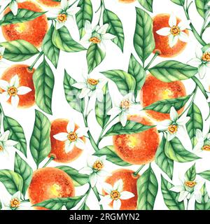 Aquarelle mandarine motif sans couture dessiné à la main. Agrumes avec des feuilles, des fleurs, des fruits isolés sur fond blanc. Motif botanique pour wallp Banque D'Images