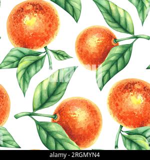 Aquarelle mandarine motif sans couture dessiné à la main. Agrumes avec des feuilles, des fleurs, des fruits isolés sur fond blanc. Motif botanique pour wallp Banque D'Images