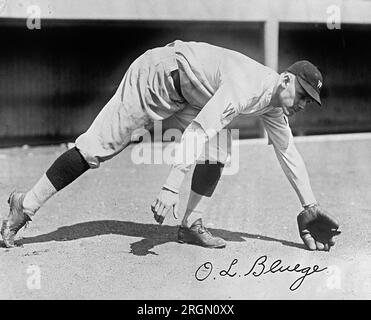 1924 Washington Senators : Infielder Ossie Bluege Banque D'Images