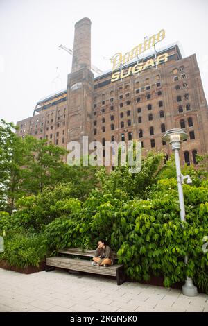 Adolescente assise sur un banc avec Domino Sugar bâtiment à l'arrière, Williamsburg, Brooklyn, USA Banque D'Images