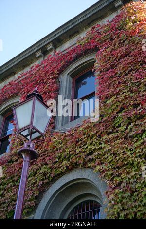 Lampadaire à l'extérieur d'un bâtiment historique recouvert de feuillage d'automne Banque D'Images