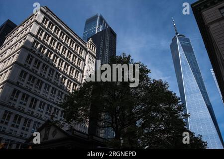 Détail architectural de Lower Manhattan, la partie la plus au sud de Manhattan, quartier central pour les affaires, la culture et le gouvernement à New York Banque D'Images