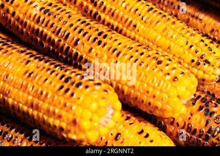 Image de grains jaunes de maïs et/ou de germe de maïs. Le maïs est une plante très riche en glucides et je vous recommande de vérifier votre taux de sucre dans le sang, le cas échéant. Banque D'Images