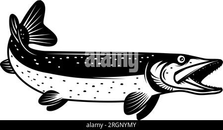 Illustration de brochet dans un style monochrome. Poisson brochet isolé sur fond blanc Illustration de Vecteur