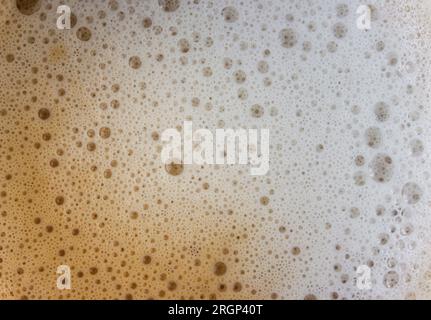 Mousse de café avec lait gros plan. Café frais, boisson du matin, crème de fond avec des bulles. Cappuccino ou latte Banque D'Images