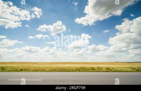 Prairie par la route. Champ agricole sans fin le long d'une autoroute en juillet par jour ensoleillé. Banque D'Images