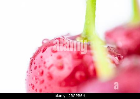 Cerises rouges dans des gouttes d'eau en gros plan. Berry Bacground Banque D'Images