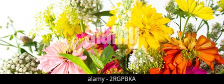 Bouquet d'été de Zinnia colorée, inflorescences d'oignon et brins de menthe, Rudbeckia Goldquelle et trèfle rouge, Ranunculus et Matricaria Banque D'Images