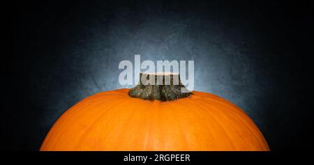 Citrouille orange avec tige coupée, automne ou automne nature morte. Composition avec espace de copie. Banque D'Images