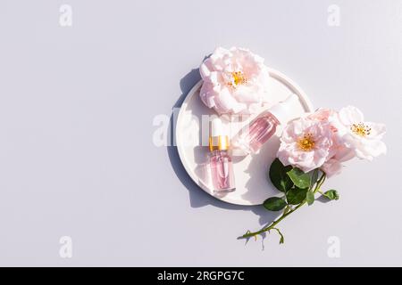 Deux flacons cosmétiques transparents avec une pipette avec de l'huile de rose naturelle ou du sérum à base d'huile de pétales de rose sur une assiette blanche et des fleurs. Vue de dessus Banque D'Images