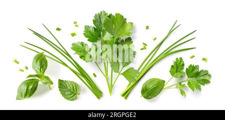 ornement d'herbes et d'épices biologiques isolé sur un fond blanc, des grappes disposées, des feuilles et des lames et des morceaux hachés de persil, de ciboulette et de menthe Banque D'Images