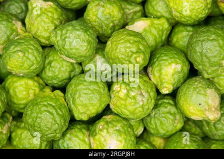 Kaffir citron vert ou bergamote dans un stand de fruits au marché de Klong Toei à Bangkok Banque D'Images