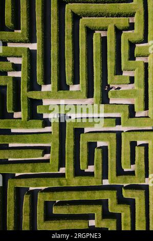 Kleinwelka, Allemagne. 11 août 2023. Les visiteurs se promènent le long du labyrinthe parmi les haies persistantes de thuja (vue aérienne prise par un drone). Crédit : Sebastian Kahnert/dpa/Alamy Live News Banque D'Images