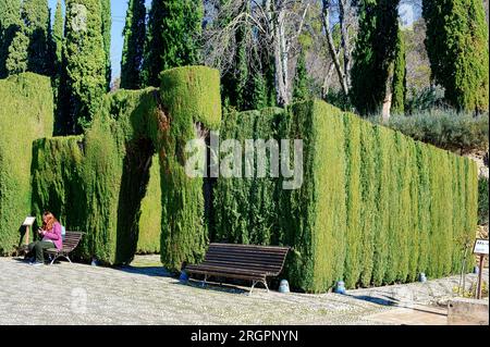 Alhambra, Espagne, touristes ou gens se promènent dans les jardins sculptés Banque D'Images