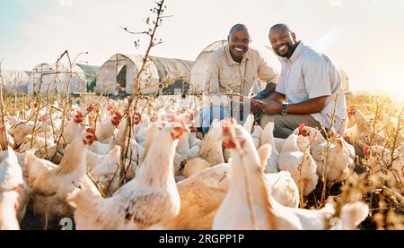 Personnes, liste de contrôle de l'agriculteur et poulet dans l'agriculture, la durabilité ou respectueux de l'environnement, libre parcours et portrait de travail d'équipe. Heureux, hommes africains ou petits Banque D'Images