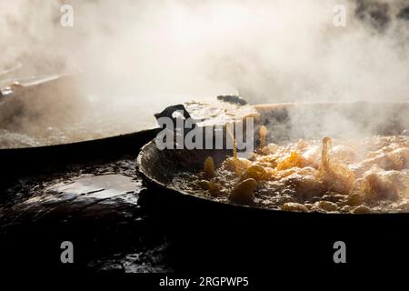 Ferme de sucre de coco à la plantation biologique dans la province de Samut Songkram en Thaïlande. Banque D'Images