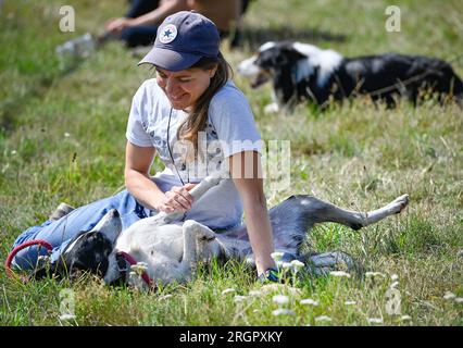 Pavlinov, République tchèque. 11 août 2023. Première journée de qualification de la compétition internationale de chiens de berger de trois jours Open tchèque à Pavlinov, région de Zdar nad Sazavou, République tchèque, le 11 août 2023. Border collie joue avec son oowner. Crédit : Lubos Pavlicek/CTK photo/Alamy Live News Banque D'Images