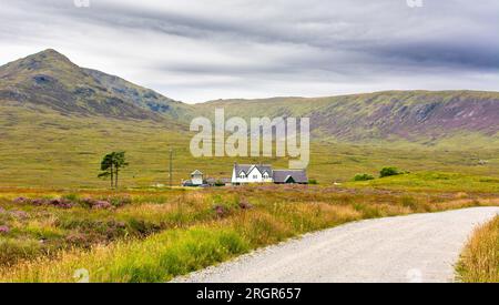 ScotRail Station Corrour Scotland et Cafe les bâtiments éloignés avec bruyère violette sur les collines en été Banque D'Images