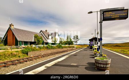 ScotRail Station Corrour Scotland la gare éloignée et les bâtiments de café avec des fleurs sur le quai en été Banque D'Images