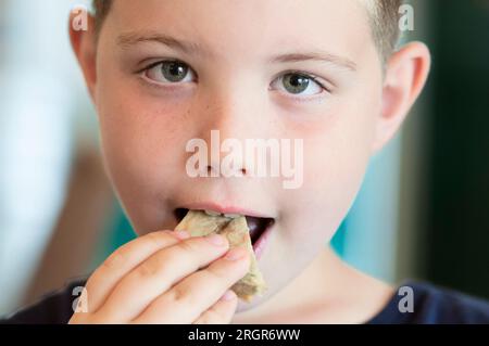 Jeune garçon mangeant une tarte aux légumes Banque D'Images