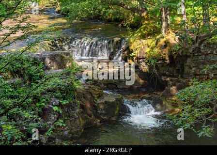 River Neath (Afon Nedd Fechan), Brecon Beacons, prise près de Pontneddfechan, pays de Galles du Sud par une chaude journée d'été Banque D'Images