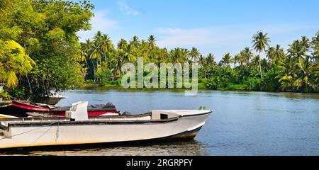 Belle vue sur le lac Bentota, Sri Lanka, par une journée ensoleillée et claire. Photo large. Banque D'Images