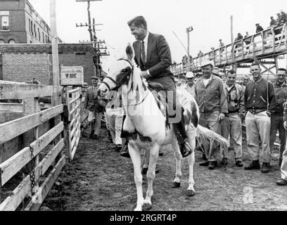 Sioux City, Iowa : 22 septembre 1960 les travailleurs sourient et regardent le sénateur John F. Kennedy monter une mule blanche lors d'une visite de campagne dans les parcs à bestiaux ici. Il est en route pour Sioux Falls, Dakota du Sud, pour les matchs nationaux de labourage. Banque D'Images