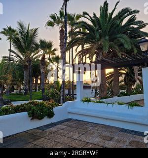 Au lever du jour, Puerto de la Cruz se réveille à l'étreinte douce du soleil du matin. La ville, toujours enveloppée dans les restes de la nuit, commence à scintiller Banque D'Images