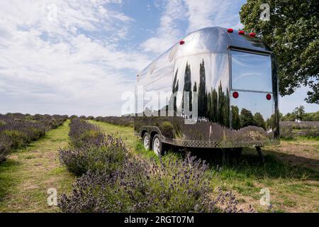 Une caravane en chrome Airstream garée sur la ferme de lavande Mayfields à Banstead Londres Royaume-Uni, le 10 août 2023 Banque D'Images