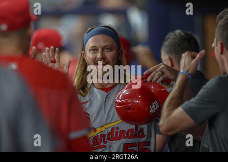 St. Petersburg, FL États-Unis ; St. Louis Cardinals, le deuxième joueur de baseball Taylor Motter (55) est félicité dans le dugue après avoir marqué dans le durin de septième manche Banque D'Images