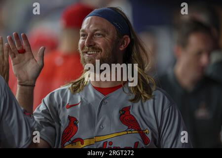 St. Petersburg, FL États-Unis ; St. Louis Cardinals, le deuxième joueur de baseball Taylor Motter (55) est félicité dans le dugue après avoir marqué dans le durin de septième manche Banque D'Images