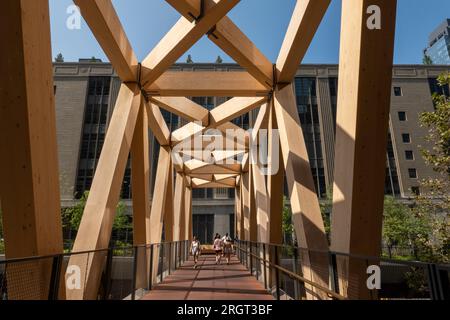 Le pont en treillis en bois relie la ligne haute à la salle de train Moynihan sur le côté ouest de Manhattan, 2023, New York City, États-Unis Banque D'Images