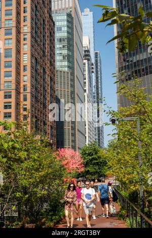 Le vieil arbre est une sculpture rose et rouge de 25 pieds de haut composée de matériaux artificiels exposée sur The Highline, 2023, NYC, USA[ Banque D'Images