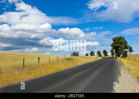 Une route mène à travers les terres agricoles de mi-été dans le nord de l'Idaho. Banque D'Images