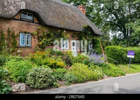 Joli chalet de chaume et jardin de fleurs dans le village de Longstock, Hampshire, Angleterre, Royaume-Uni, avec des agents immobiliers à vendre conseil. Marché immobilier Banque D'Images