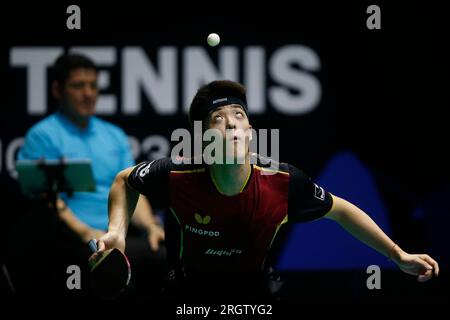 Rio de Janeiro, Brésil. 11 août 2023. Dang QIU (GER) concourt lors du match en simple masculin contre Vitor Ishiy (BRA), lors de la ronde 16 du candidat WTT Rio de Janeiro 2023, à l'Arena Carioca 1, à Rio de Janeiro le 11 août. Photo : Satiro Sodr/DiaEsportivo/Alamy Live News crédit : DiaEsportivo/Alamy Live News Banque D'Images