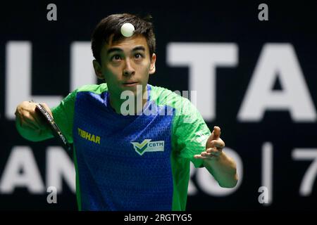 Rio de Janeiro, Brésil. 11 août 2023. Vitor Ishiy (BRA) concourt lors du match en simple masculin contre Dang QIU (GER), lors de la ronde 16 du candidat WTT Rio de Janeiro 2023, à l'Arena Carioca 1, à Rio de Janeiro le 11 août. Photo : Satiro Sodr/DiaEsportivo/Alamy Live News crédit : DiaEsportivo/Alamy Live News Banque D'Images