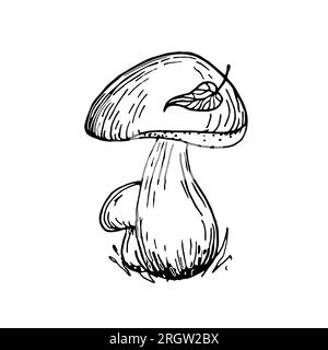 Champignons CEP. Belle illustration de dessin de doodle à la main. champignons poussant dans l'herbe. Feuille d'automne sur un chapeau de champignon porcini. Vecteur LINEAIRE illust Illustration de Vecteur