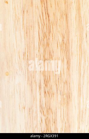 une planche en bois d'hévéa, une planche légère avec une structure d'arbre d'hévéa, à partir de laquelle une planche de plusieurs planches est faite Banque D'Images