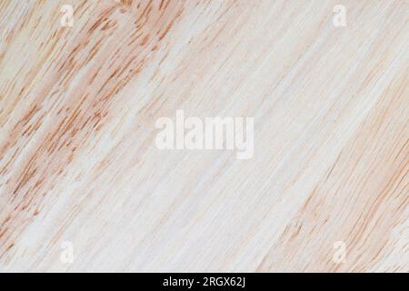 une planche en bois d'hévéa, une planche légère avec une structure d'arbre d'hévéa, à partir de laquelle une planche de plusieurs planches est faite Banque D'Images